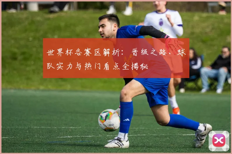 世界杯各赛区解析：晋级之路、球队实力与热门看点全揭秘